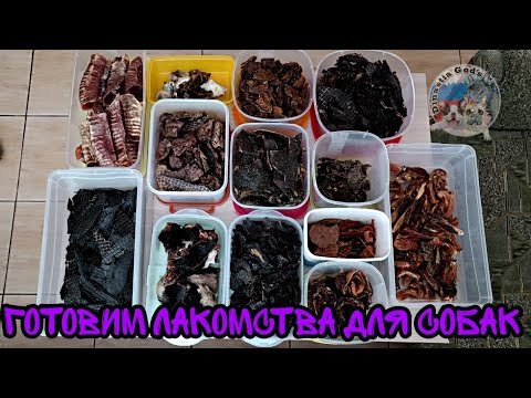 Видео: Сушим лакомства для собак. Что из этого вышло?