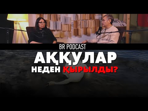 Видео: АҚТАУДА АҚҚУЛАР НЕДЕН ҚЫРЫЛДЫ