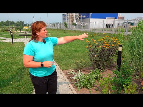 Видео: "В гостях Удачи". Наталья Красикова