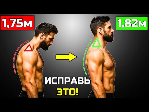 Видео: 7 УПРАЖНЕНИЙ КОТОРЫЕ НИКТО НЕ ДЕЛАЕТ НО ОНИ МГНОВЕННО СДЕЛАЮТ ТЕБЯ ВЫШЕ (РАБОТАЕТ В ЛЮБОМ ВОЗРАСТЕ)
