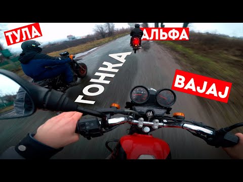 Видео: ГОНКА Bajaj Boxer 150x vs. ТУЛА 200 vs. Альфа 110 - НАЧАЛО НАШЕГО СЕЗОНА #мото