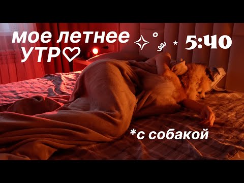 Видео: Мое РЕАЛЬНОЕ Летнее Утро с СОБАКОЙ