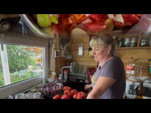 Видео: Делаем кетчуп/ Взвешиваем помидоры/ Дача 5 соток 14 августа 🍅🍐🫑