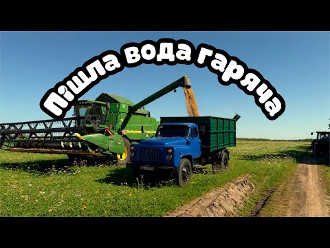 Видео: Соя RUBI,кучерява по 53 тис😱точна врожайніст☝️очікування-реальність🤟