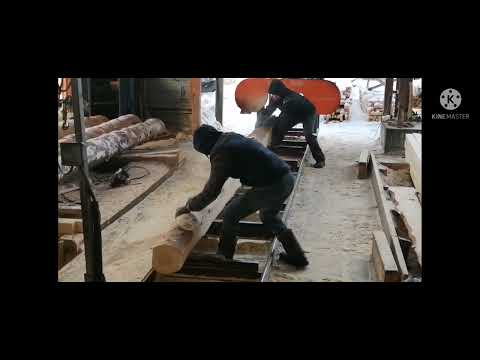 Видео: ПИЛОРАМА ВЫХОД ДРЕВЕСИНЫ С 22 БРЕВНА