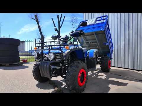 Видео: Квадроцикл вантажний Forte ATV 300BS T 4х4