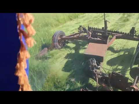 Видео: Сенокос 2024.вся работа за 5 минут!