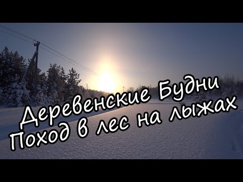 Видео: Живу в деревне. Домашние дела. Поход в лес на лыжах.