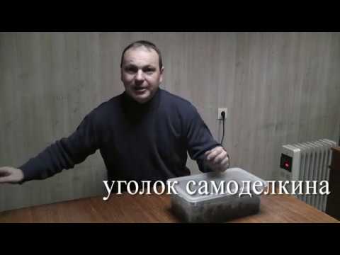 Видео: Червь Дендробена 001 месяц