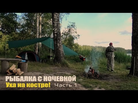 Видео: РЫБАЛКА С НОЧЕВКОЙ! УХА НА КОСТРЕ! ЧАСТЬ 1