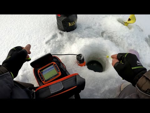 Видео: РЫБАЛКА с эхолотом Calypso на мелководье. Годный ЛАЙФХАК на ЛЬДУ! Ловля ПЛОТВЫ на мормышку со льда.