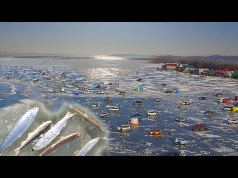 Видео: Рыбалка на снасти с бородкой. Селедка любит эту снасть!