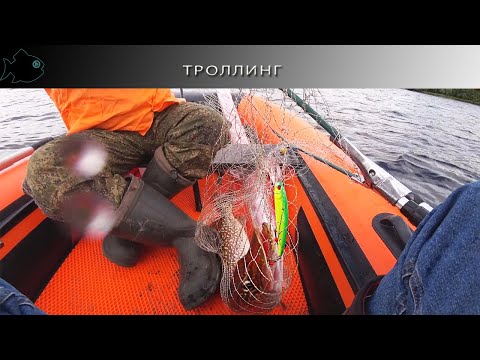 Видео: как меня Паха в дельте троллингу учил