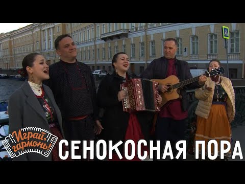 Видео: Сенокосная пора | Ансамбль @Ptashica  (г. Санкт-Петербург) | Играй, гармонь!