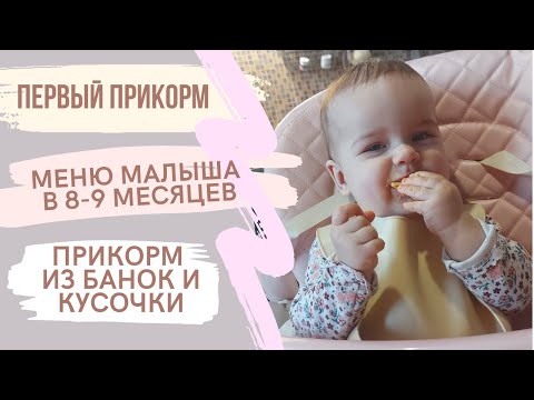 Видео: первый прикорм | меню малыша в 8-9 месяцев | переходим на кусочки | самоприкорм