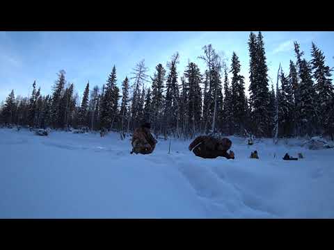 Видео: Первая пробная зимняя рыбалка в верховьях реки Катанга. 16 января 2019 года.