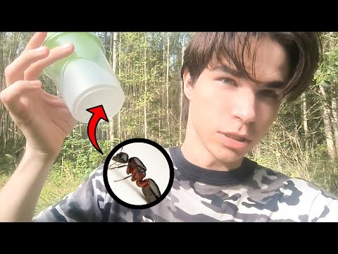 Видео: В ПОИСКАХ МАТОК (без поиска маток)