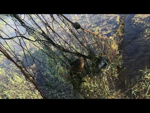 Видео: НОВЫЕ СОВОЛКИ В ОЗЕРО!ХОРОШИЙ УЛОВ!