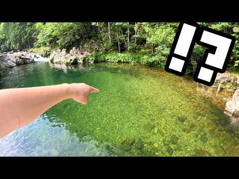 Видео: Река в горах кишит рыбой высшего качества!!