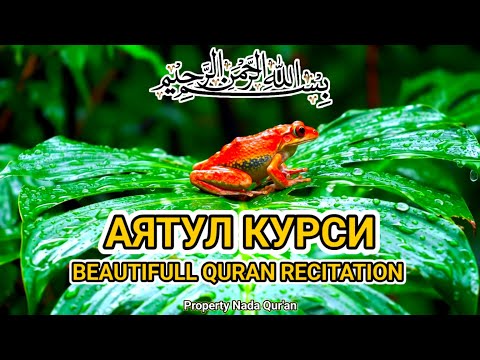 Видео: Аят аль-Курси — мелодичное чтение, наполняющее душу светом и покоем
