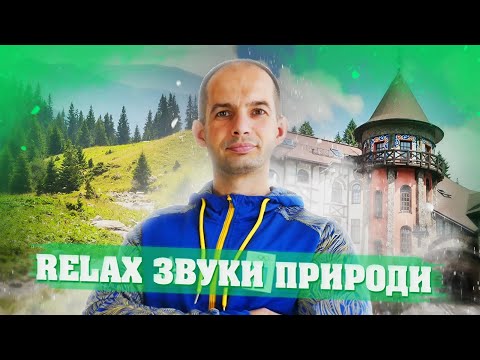 Видео: RELAX ЗВУКИ ПРИРОДИ В КАРПАТАХ / СПІВ ПТАХІВ ТА ШУМ РІЧКИ / ЯК ЗНЯТИ СТРЕС