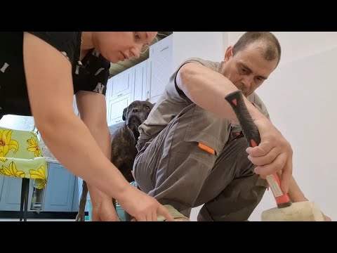 Видео: Ура, ЛАМИНАТ! 👏🔥 Вонючих будут штрафовать или # Выкрасила косяки и альков. Какой ПЫЛЕСОС выбрать