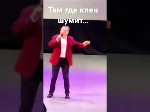 Видео: Там где клён шумит -Михаил Михайлов #ведущие #песня #михаилмихайлов #михайлов #тамгдекленшумит