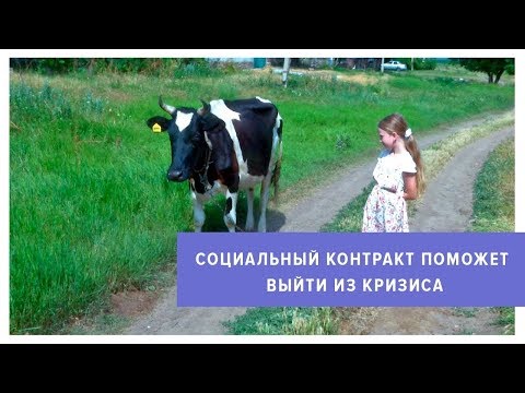 Видео: Социальный контракт поможет выйти из кризиса