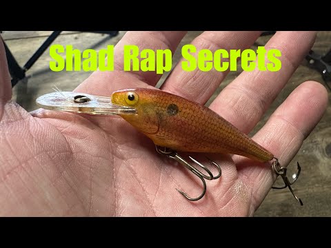 Видео: Условия, при которых Shad Rap превосходит любую другую приманку