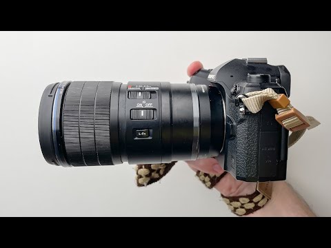 Видео: M.Zuiko 90mm – новый КОРОЛЬ среди макрообъективов?