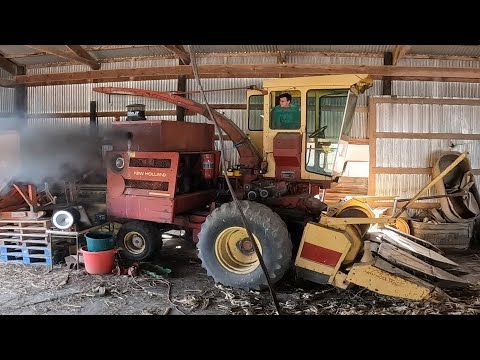 Видео: Приготовимся к заготовке силоса: New Holland 1895