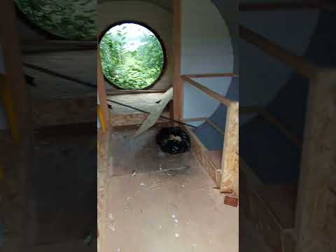 Видео: База отдыха Длинный берег