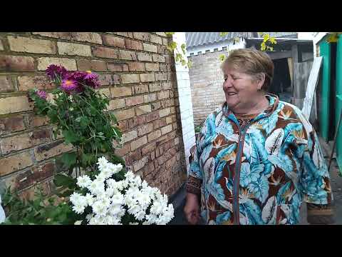 Видео: 🐈В селе у СВЕКРУНЬКИ🙋‍♀️🏡