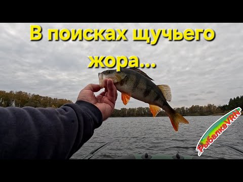 Видео: [2025]Рыбалка на спиннинг в октябре 5