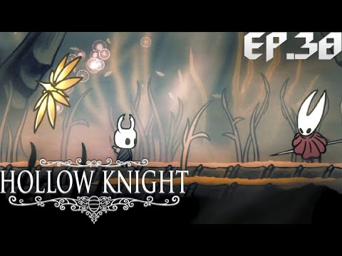 Видео: КАК ОБ ЭТОМ МОЖНО УЗНАТЬ БЫЛО? HOLLOW KNIGHT. ЭПИЗОД#38