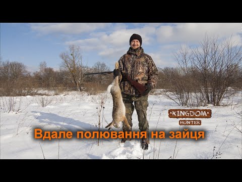 Видео: Вдале полювання на зайця