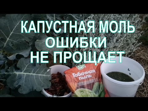 Видео: КАПУСТНАЯ МОЛЬ.МЕТОДЫ БОРЬБЫ С КАПУСТНЫМИ ВРЕДИТЕЛЯМИ.