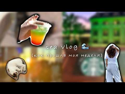 Видео: Влог с моря🫶🏻 Целая неделя отдыха🤗