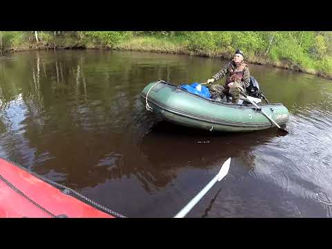 Видео: Рыбалка на лесной речке на спиннинг в конце мая