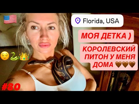 Видео: 🐍#80 Моя Красавица, Моя Любовь, Моя Детка. ) КОРОЛЕВСКИЙ ПИТОН Ball Python. Совершенство. Змея Дома.