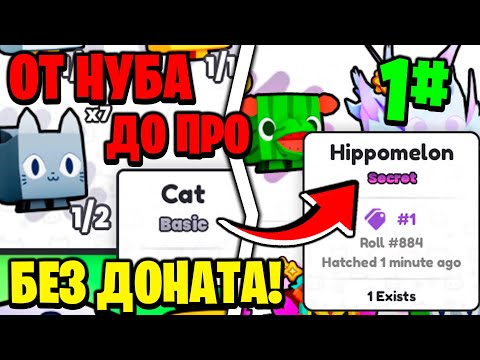 Видео: ОТ НУБА ДО ПРО БЕЗ ДОНАТА в PETS GO | ROBLOX!