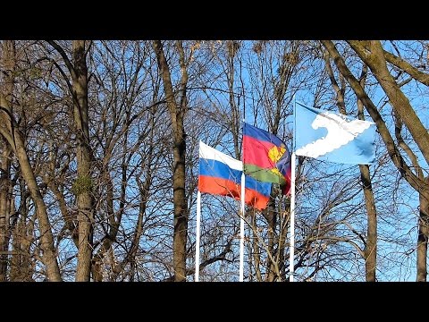 Видео: Жизнь Белореченска 27.11.2016г