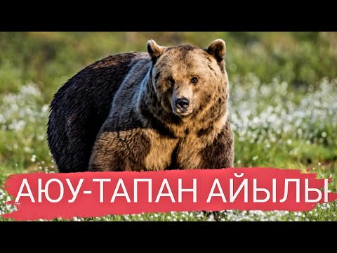 Видео: Аюулар мекендеген Аюу-Тапан айылы.  Менин айылым Алай району