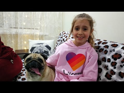 Видео: Влог/ Едем в гости к кумовьям//Давно не виделись/ Мопс Боня/