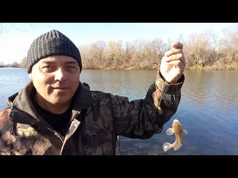 Видео: Рыбалка 23 ноября на Днестре/ патерностер круче макушатника.