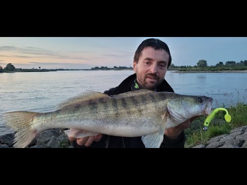 Видео: Как поймать ночного Судака на силикон