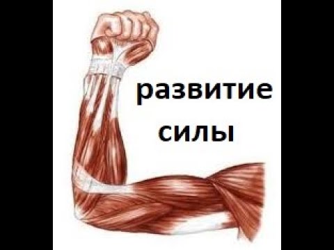 Видео: Разговоры о триатлоне. Селуянов. Развитие силы.