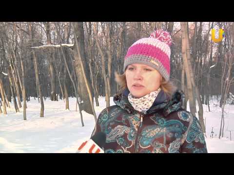 Видео: Глазами животных, выпуск 168 ( Энтлебухер зенненхунд - собаки со сложным названием)