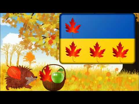 Видео: Математика для дошкільнят "Один-багато, вгорі-внизу, ліворуч-праворуч"