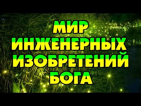 Видео: МИР ИНЖЕНЕРНЫХ ИЗОБРЕТЕНИЙ БОГА